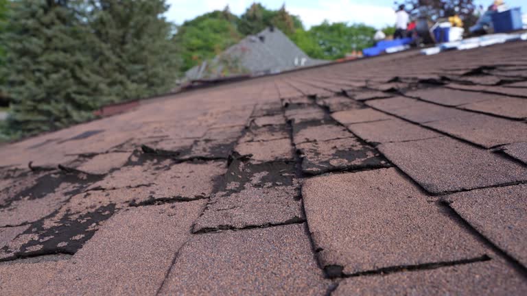 Best Roof Maintenance and Cleaning  in Edwardsburg, MI
